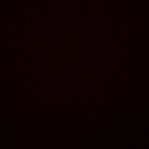 Meet your Posher, Hollie